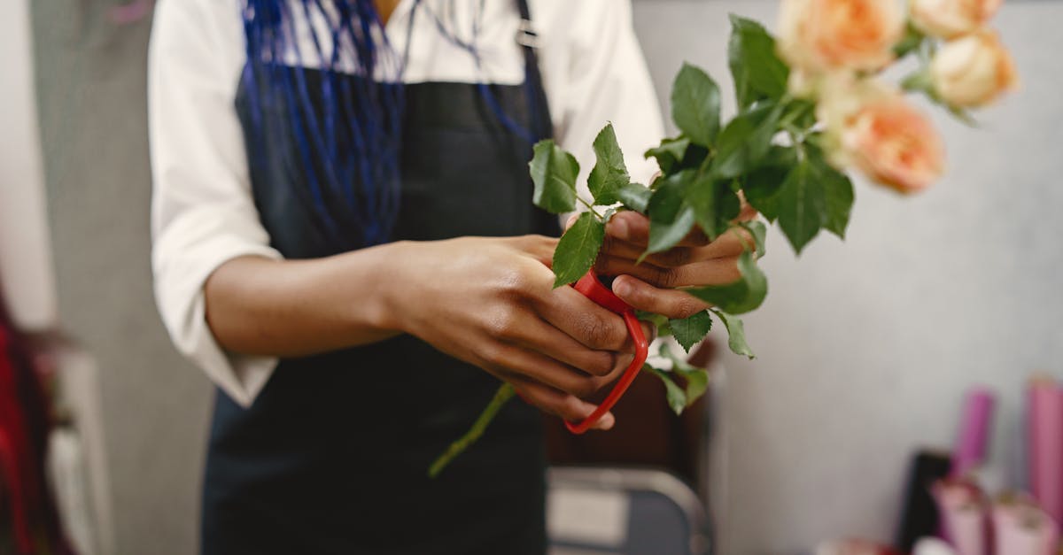 Colour Theory in Floral Design: A Beginner's Guide