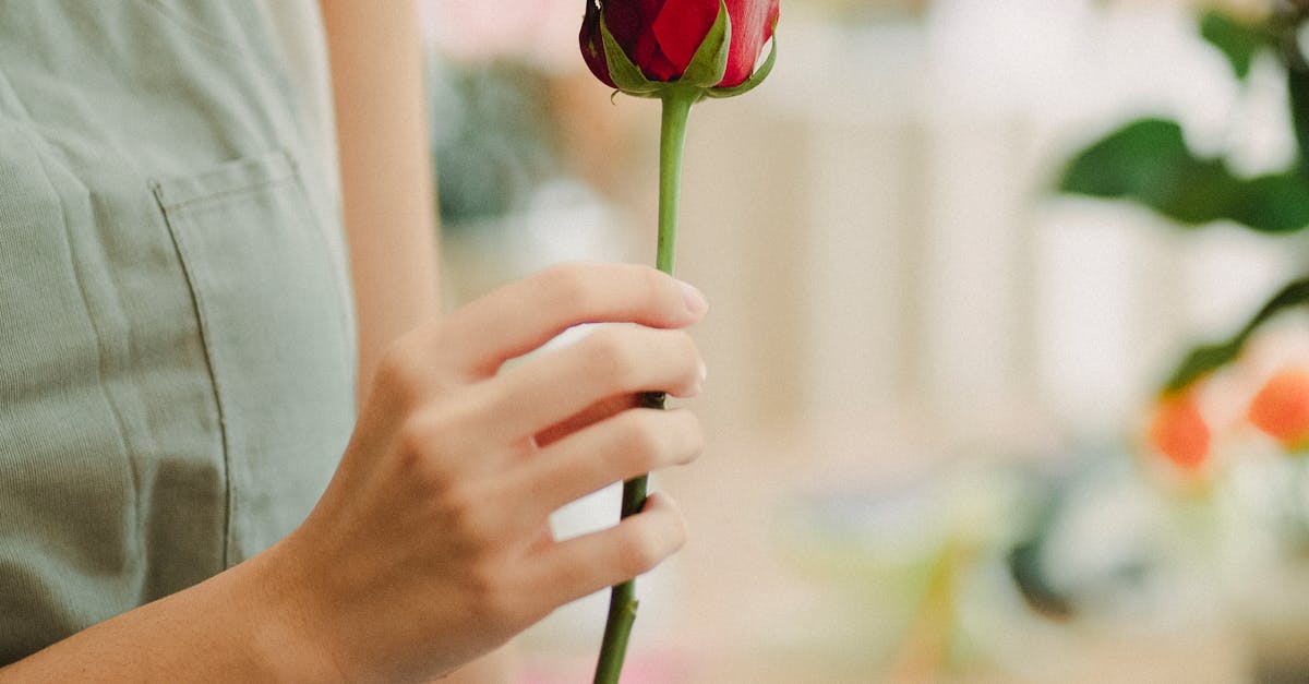 Elegant Centrepieces for Formal Dining Experiences