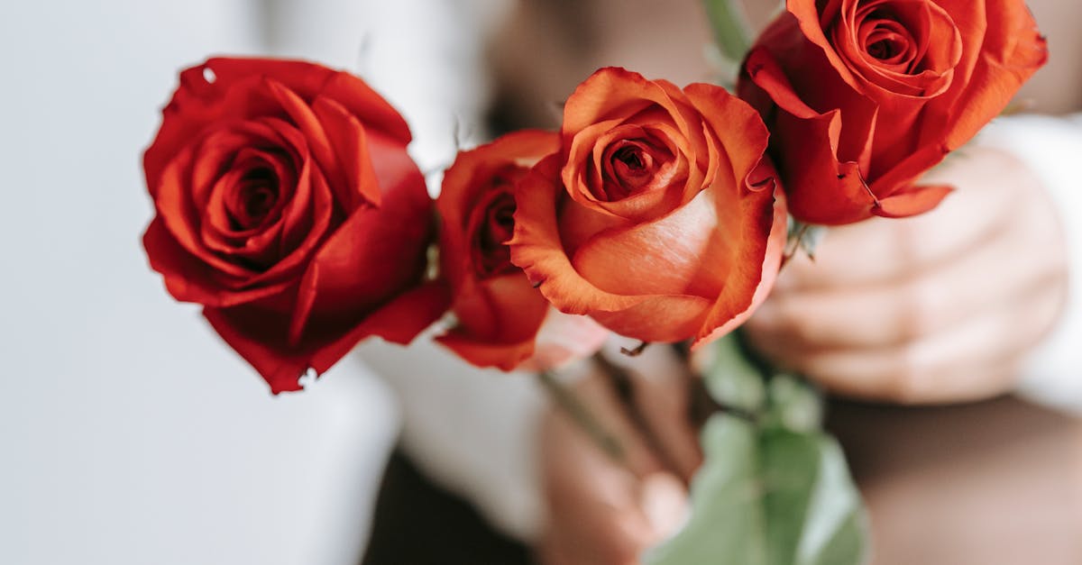 Styling Corporate Events with Fresh and Dried Flowers